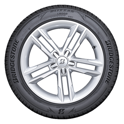  Blizzak LM005