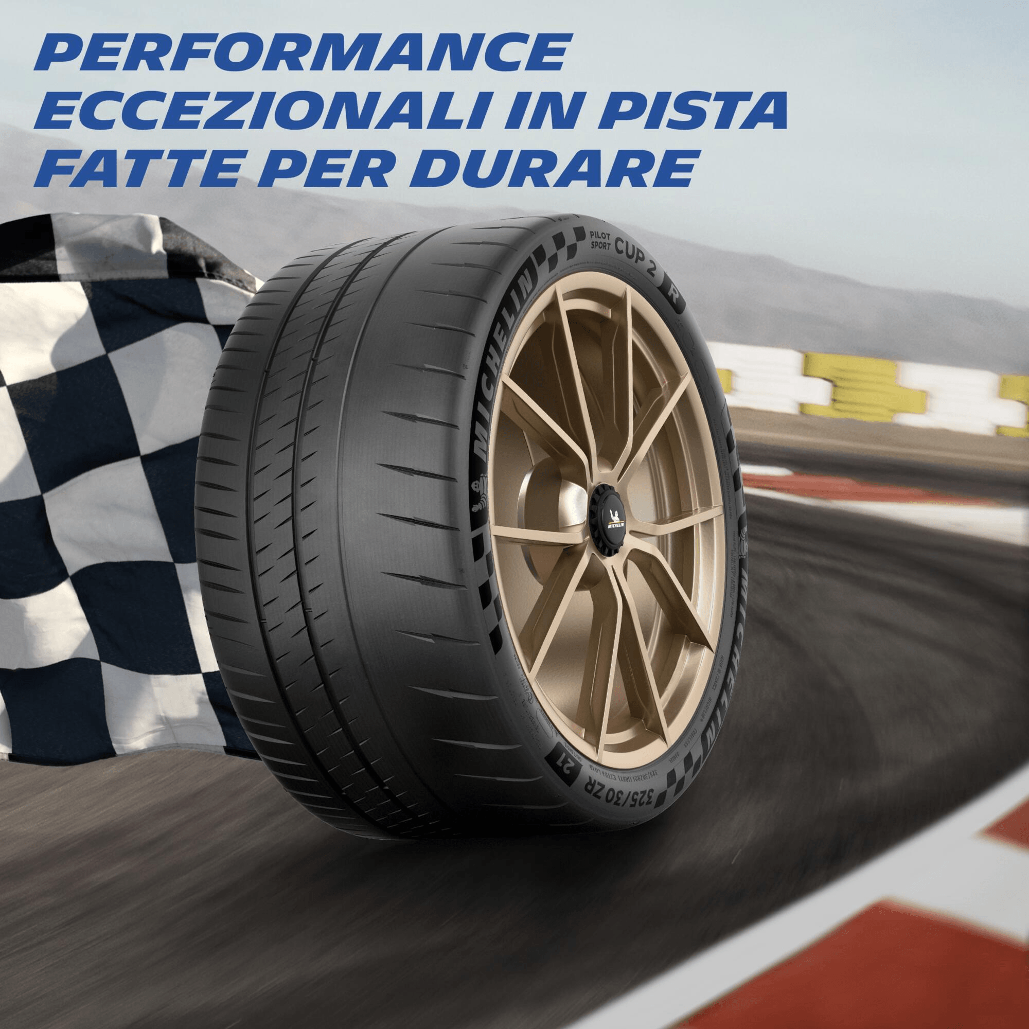 Michelin Pilot Sport Cup 2 R