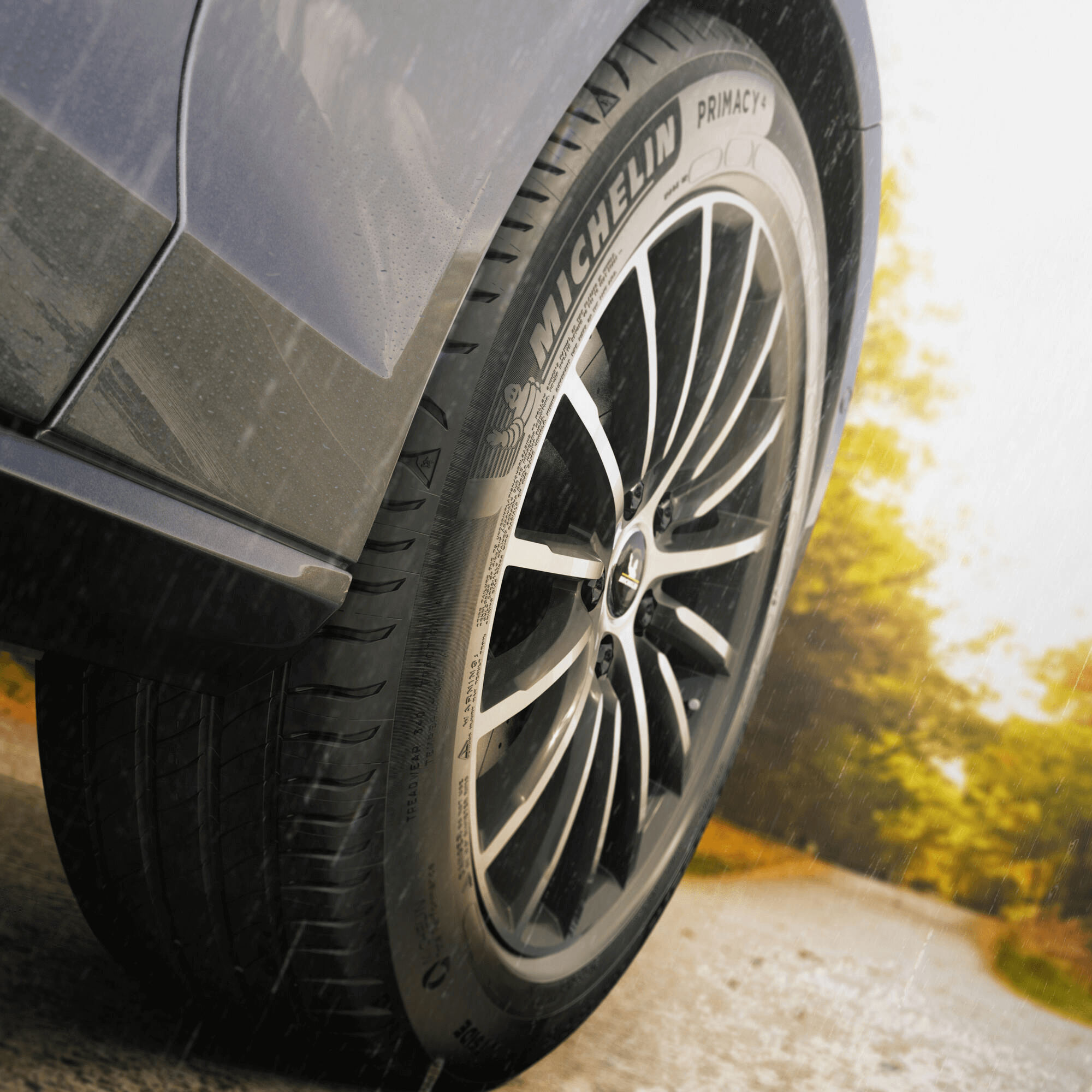Michelin Primacy 4