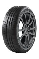  PZero R