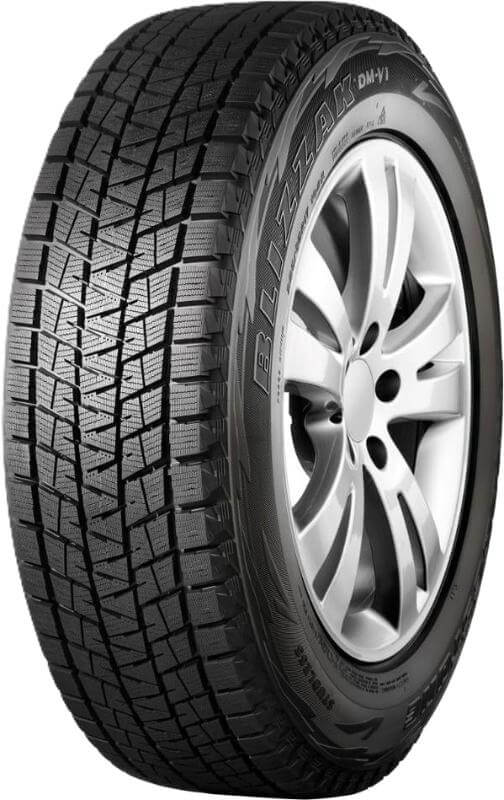 Bridgestone Blizzak DM-V1