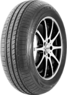 leao-nova-force-gp-1