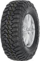 Nexen Roadian MTX RM7