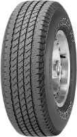 Roadian HT