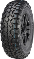 ROYAL M/T