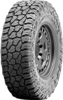 Wildpeak R/T R01