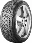 Winter Activa SV-3