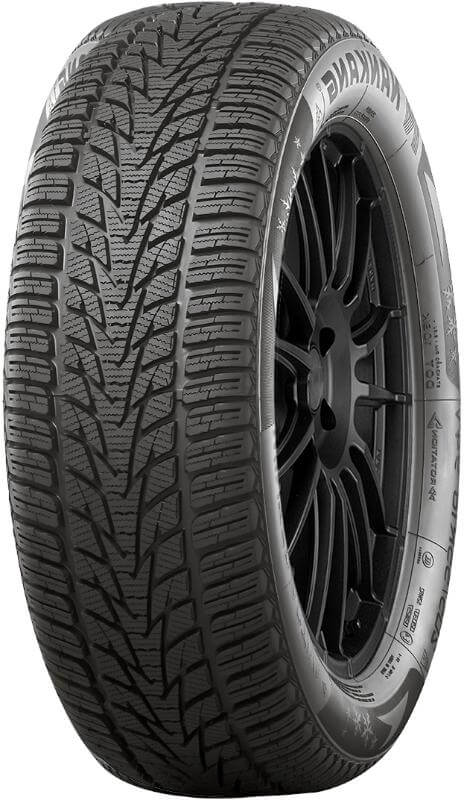 Nankang Winter Activa SV-4