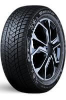 GT Radial WinterPro 2 Evo