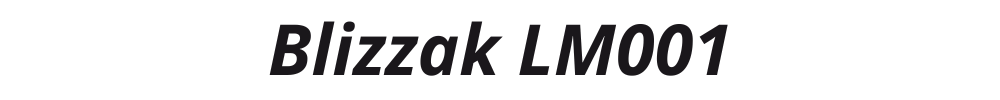 Blizzak LM001