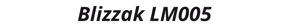 Blizzak LM005