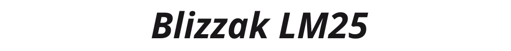 Blizzak LM25