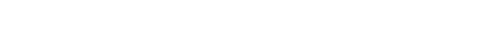 ContiVanContact 100