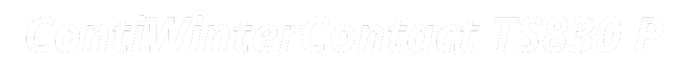 ContiWinterContact TS830 P