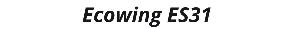 Ecowing ES31