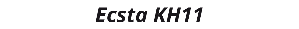 Ecsta KH11
