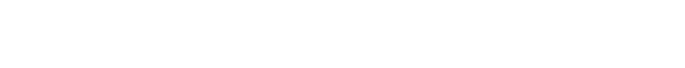 Pilot Sport S 5