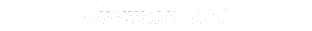 Cinturato (C3)