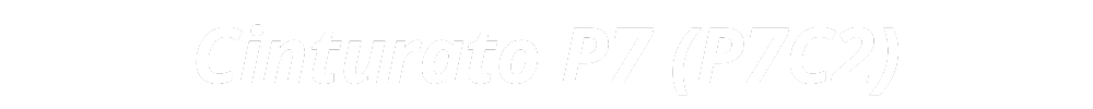 Cinturato P7 (P7C2)