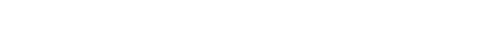Van RY55